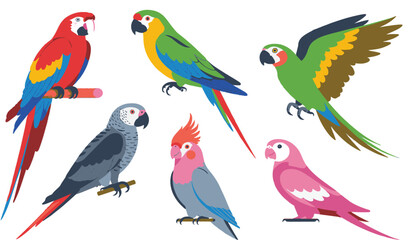 Colorful tropical parrot and exotic bird collection featuring various species of macaws and cockatoos in flat cartoon style for animal design elements © Mahamuda
