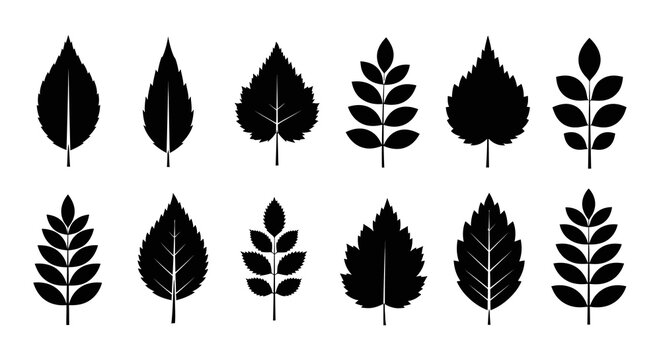 Black leaf silhouettes icons set isolated on white