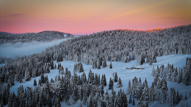 Aerial view of a snow-blanketed forest landscape under a pastel-colored sky, with a hint of mist nestled between the trees, Saint-Cergue, Switzerland.