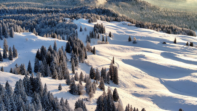 Aerial view of a snow-blanketed landscape, where pockets of dark green trees punctuate the pristine white hills under a soft, diffused light, Gingins, Vaud, Switzerland.