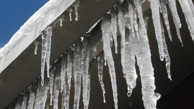 Dripping sunlit icicles hanging from house gutter or eavestrough. Winter. 4K.