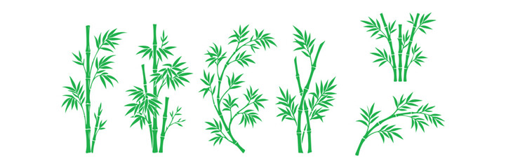 Obraz premium Bamboo Branch and Leaf Vector Collection.