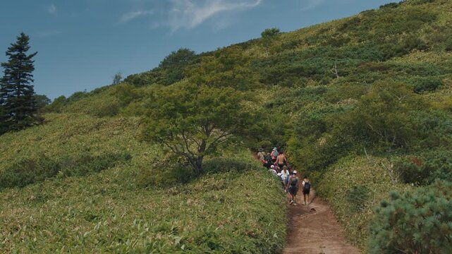 Big mixed group of hikers walk on the path in the wild area