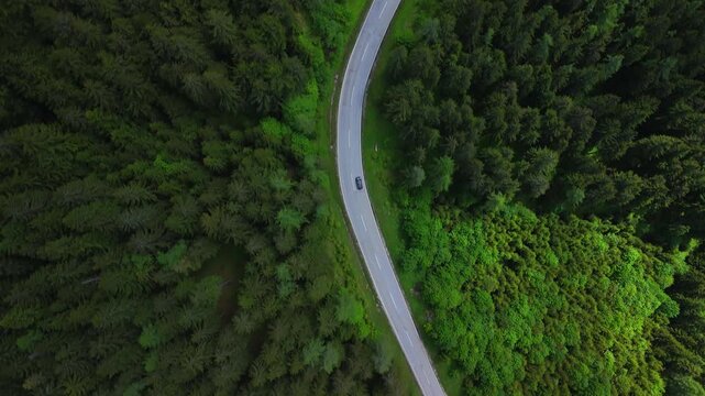 Car driving on mountain road surrounded by green trees in Austria Birds Eye Drone Shot