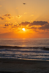 Fototapeta premium Sunrise over Tybee Island