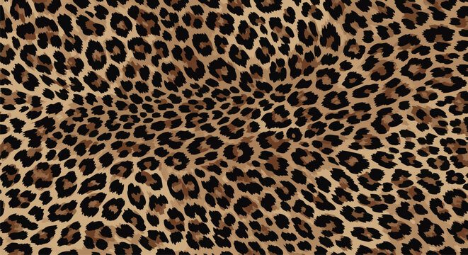 Leopard print pattern vector background