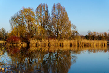wyspa na środku stawu © rob