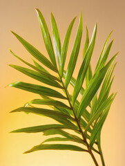 Obraz premium palm leaf with organic arrangement on pastel background highlighting tropical foliage detail and copy space for design isolated palm leaf, organic arrangement, pastel background, tropical foliage, 