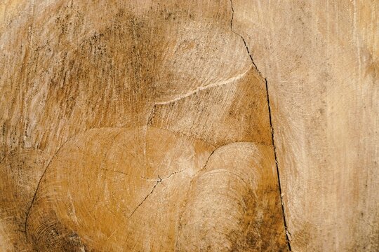 Abstraktes Motiv mit goldbrauner glatter Holzfl&auml;che mit Muster als Hintergrund