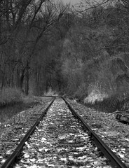 Lonely Train Tracks