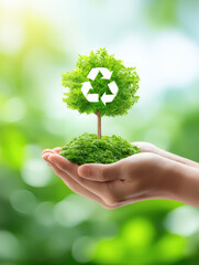 cradling small tree with recycle symbol above, tropical greenery surrounding, symbolizing sustainable growth, ecological responsibility, and Earth day protection, ideal for environmental stock 