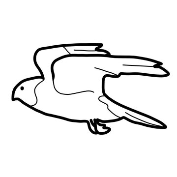krestel animal bird nature north america organic line hand drawn black and white sihouelle outline
