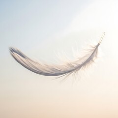 Fototapeta premium White feather floating in air on light blue background, peaceful purity concept, gentle weightless symbol, soft delicate nature for freedom spirituality wellness mindfulness content marketing graphics
