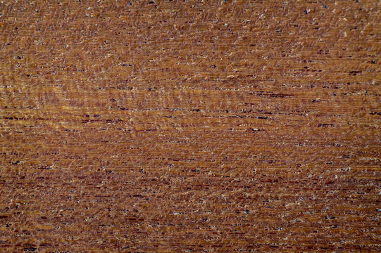 Extreme close up macro of sapele hardwood timber showing distinctive interlocking grain pattern. Raw planed wood surface, unsanded and untreated, ideal natural wood texture background.