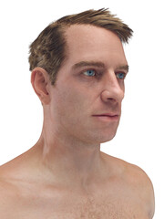 Accurate 3D Depiction Showing The Head Structure Of A Male © Sebastian Kaulitzki