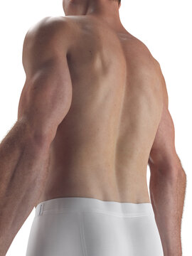 A Detailed Depiction Of The External Features Of The Body Of A Man