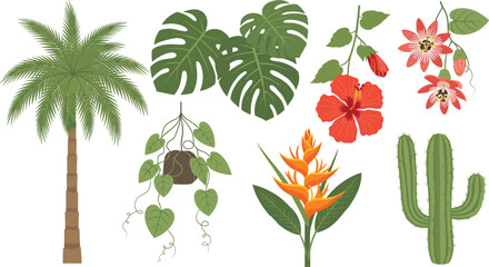 Naklejka premium Tropical Plant and Flower Collection with Palm, Cactus, Hibiscus, Passionflower, and Monstera, Ideal for Nature-Inspired Designs and Home Decor