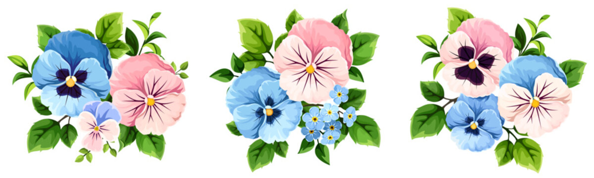 Pink and blue pansy flowers isolated on a white background. Set of vector illustrations