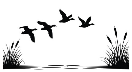 Flying ducks over water with reeds a striking black silhouette © MD