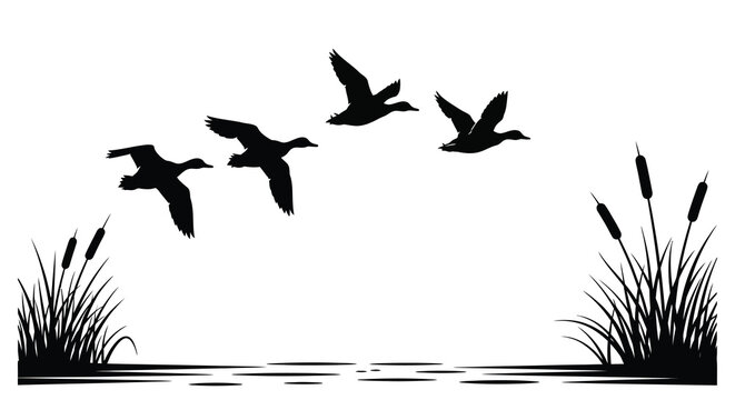 Flying ducks over water with reeds a striking black silhouette