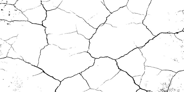 Organic cracked earth texture with natural fracture lines in bold monochrome, ideal for geological themes, decay concepts, or rustic background elements.	