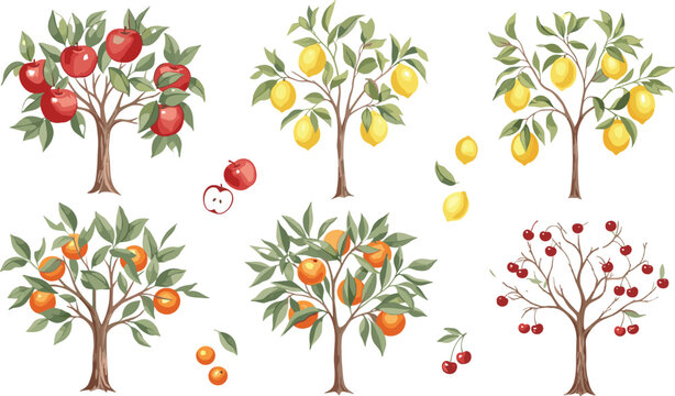Collection of fruit trees including apple lemon orange and cherry trees with ripe fruits botanical vector illustration set