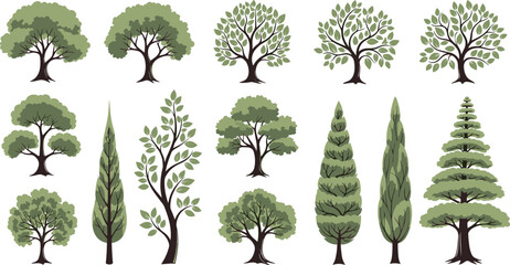 Collection of realistic green trees including deciduous and conifer varieties botanical forest elements isolated vector illustration set © Sumon Creative