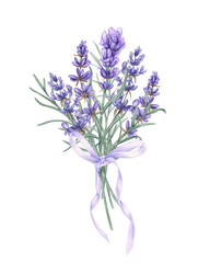 Obraz premium Lavender branches tied with lilac ribbon bow watercolor illustration on isolated background. Purple flowers and green leaves bouquet. Aromatic purple flowers for wedding invitations, stationery.