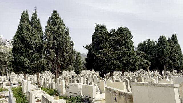Haifa, Israel, March 12, 2026, Sde Yehoshua Cemetery with rows of graves and cypress trees, peaceful and solemn atmosphere.