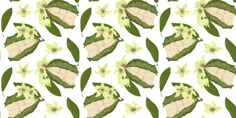 Seamless Pattern Kola Nut Tropical Seed from Cola Tree