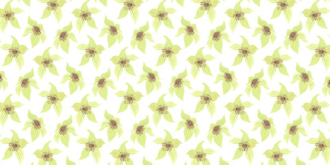 Seamless Pattern Kola Nut Tropical Flowers from Cola Tree