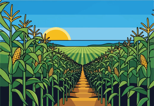 A perspective view of a lush cornfield with ripe cobs under a bright sun