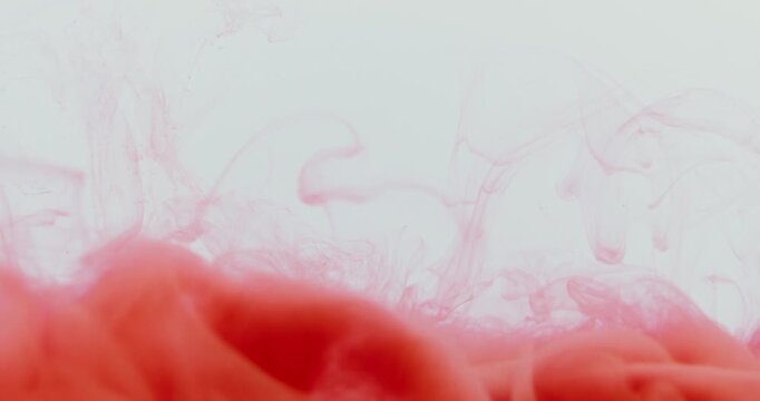 A beautiful pink rose petals and heart vector illustration featuring a floral pattern design for a romantic Valentine Day wedding wallpaper or love card