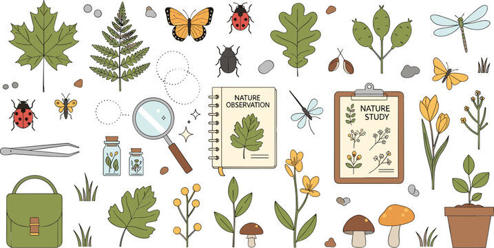Nature observation exploration set with leaves insects magnifying glass notebook plants mushrooms field study education cartoon vector illustration collection