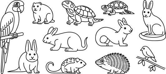 Cute animal illustrations parrot hamster turtle rabbit mouse hedgehog bird for kids