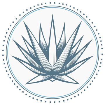 Elegant Blue Agave Plant Emblem in Circular Border with Dotted Pattern