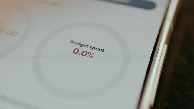 Budget Spent 0 percent, status of a financial budget