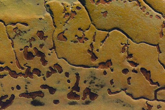 Aerial view of a mosaic of earth tones where ochre and sienna meet in intricate patterns, creating a captivating texture from above, Achnahaird, United Kingdom.