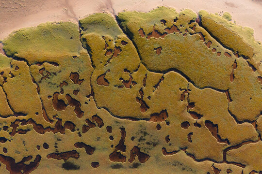 Aerial view of an intricate tapestry of green and brown textures, where nature's artistry unfolds in Achnahaird, Ross and Cromarty, United Kingdom.