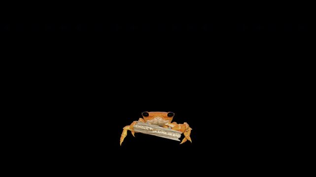 3D Animated Crab Holding Wooden Sign Board with Check The Link In Bio Text - 4K Alpha. integration into Instagram Reels, TikTok, and social media stories. Perfect for influencers, affiliate marketing,