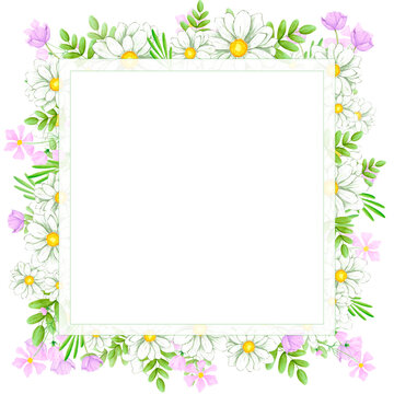 Hand drawn watercolor chamomile and wild flowers with leaves frame border composition. Illustration isolated on white background. Can be used for postcard, label, invitation and botanical projects