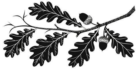 A detailed illustration of an oak leaf branch with acorns and leaves © Mamun