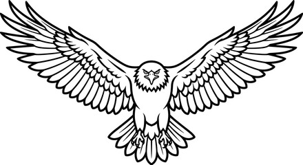 Fototapeta premium eagle with wings