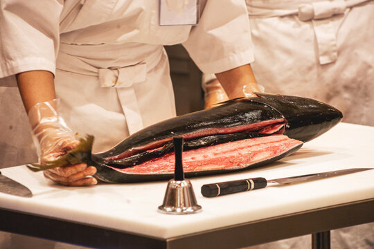 Chef show sliced very huge blue fin tuna or Otoro to the guest