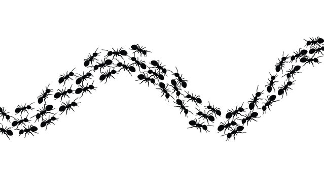 Silhouette of a long line of black ants marching in a synchronized wavy formation across a white background representing teamwork.