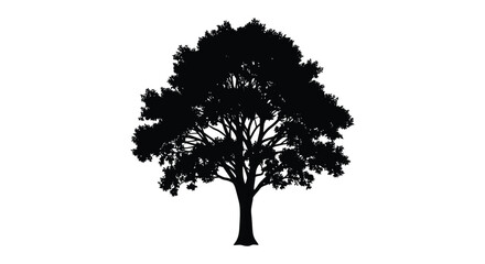 A detailed black silhouette of a mature leafy tree stands out against a plain white background silhouette © Jahid