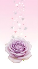 Fototapeta premium Delicate Lavender Rose With Silver Snowflakes And Tiny Hearts On A Soft Pink White Gradient Feminine Background