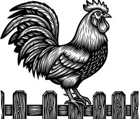 Proud rooster standing on a wooden fence vintage woodcut engraved style vector illustration for organic farm branding and rural agriculture. © Ahsan