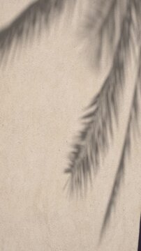Vertical loop footage of soft palm shadows on a beige wall moving gently in the wind. Clean tropical background for spa, wellness, luxury and mobile content.