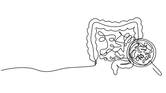 human colon with magnifying glass animation continuous one line drawing, Intestine virus icon , outline style, Intestines diagnostic infographic abdomen gastro concept. Vector graphic design element 